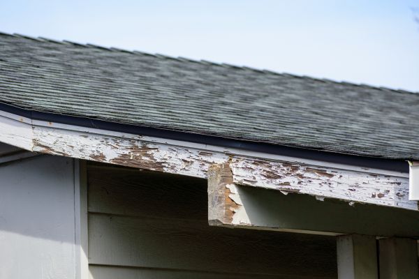 Port Saint Lucie Wood Rot Repair