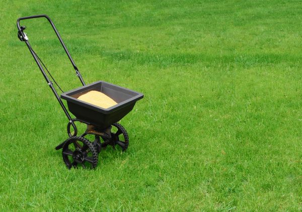 Port Saint Lucie Lawn Treatment