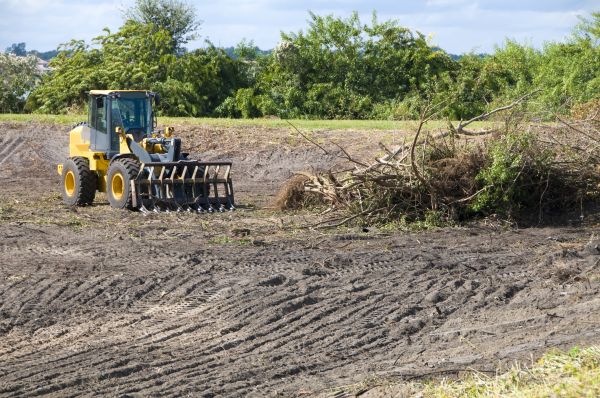 Port Saint Lucie Land Clearing